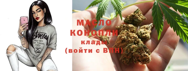 прущие грибы Иннополис