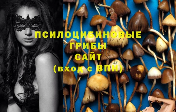 прущие грибы Иннополис