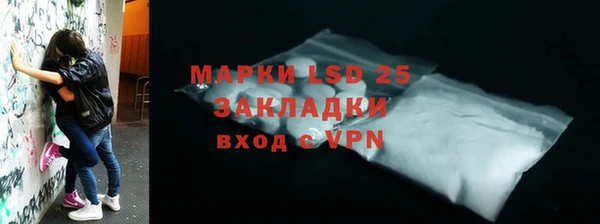 прущие грибы Иннополис