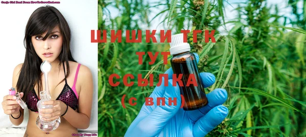 прущие грибы Иннополис