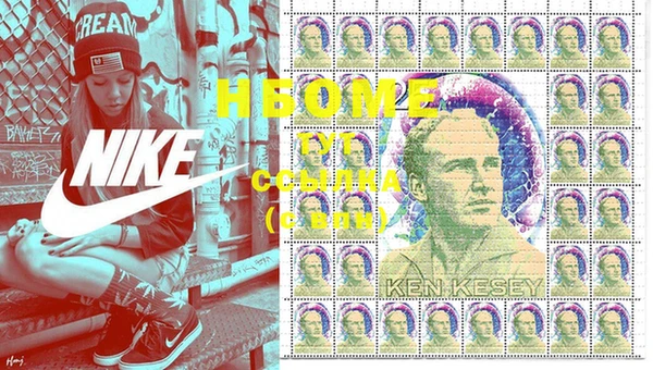 прущие грибы Иннополис