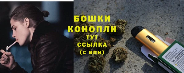 прущие грибы Иннополис