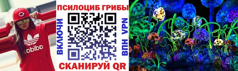 Галлюциногенные грибы мицелий  Купить  Голицыно 